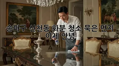 송파구 신천동 화분 청소: 묵은 먼지, 이제 안녕!
