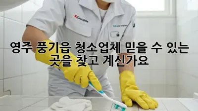 영주 풍기읍 청소업체, 믿을 수 있는 곳을 찾고 계신가요?